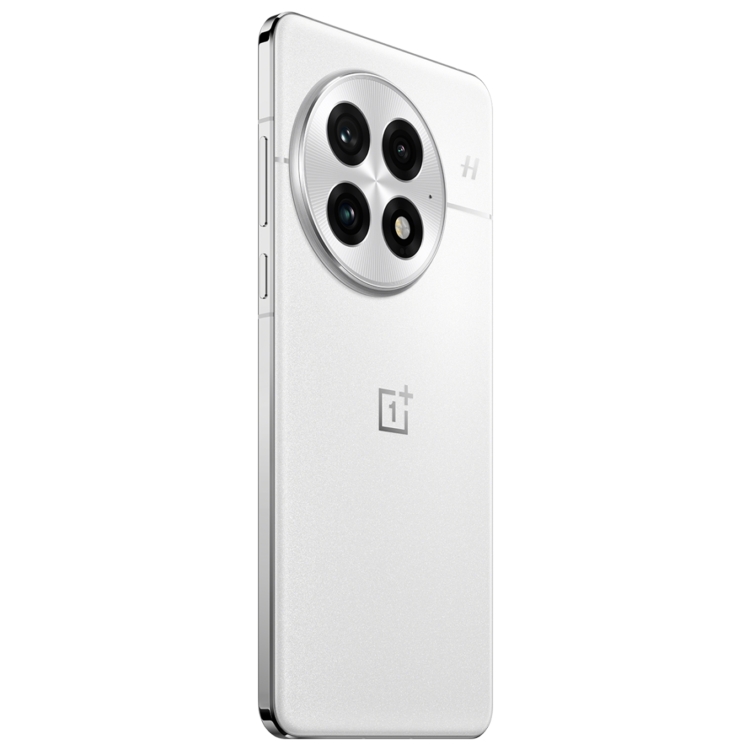 OnePlus 13 PJZ110, 12GB+256GB, Screen Fingerprint