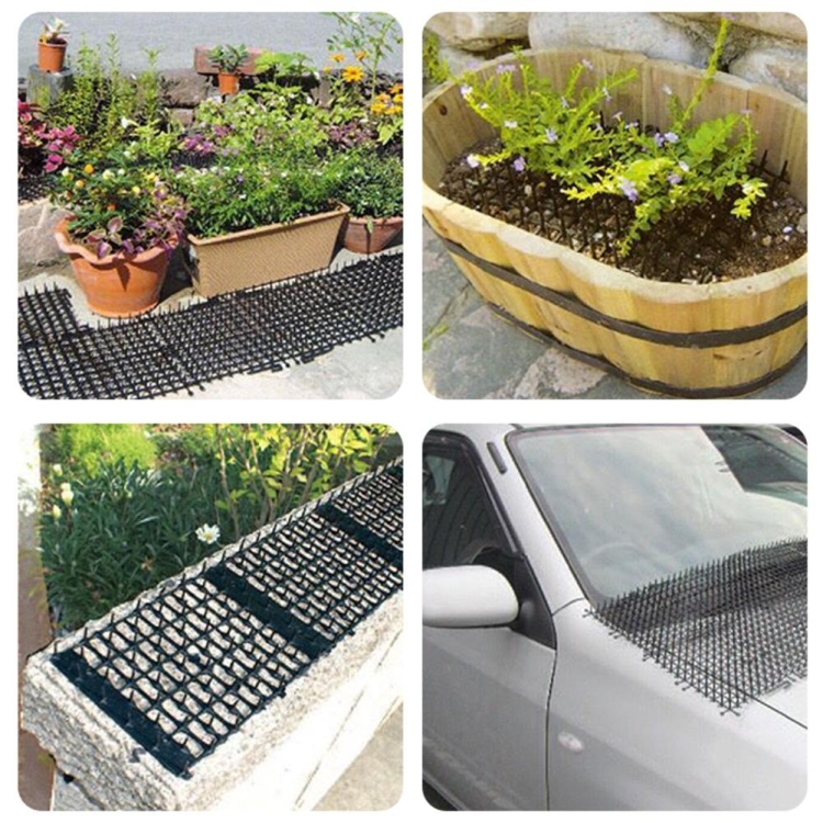 Protecting Gardens Naturally using the M 200x28cm B21307 Garden Flower Anti-Cat Net Plastic Thorn Pad