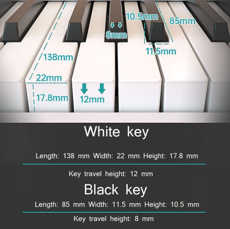 Standard Piano Key Dimensions
