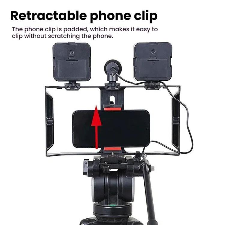 Smartphone Video Rig Kit with LED Fill Light & Microphone All-in-One ...