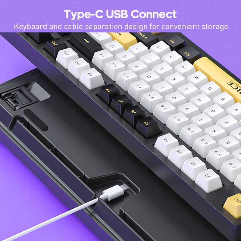 Clavier mécanique filaire iMICE GK-500 Type-C pour jeux vidéo (noir) - B3