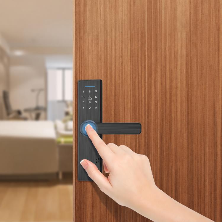 WDL-X1 Graffiti Smart Home Anti-theft Fingerprint Door Lock, Version:WiFi Version(Black)