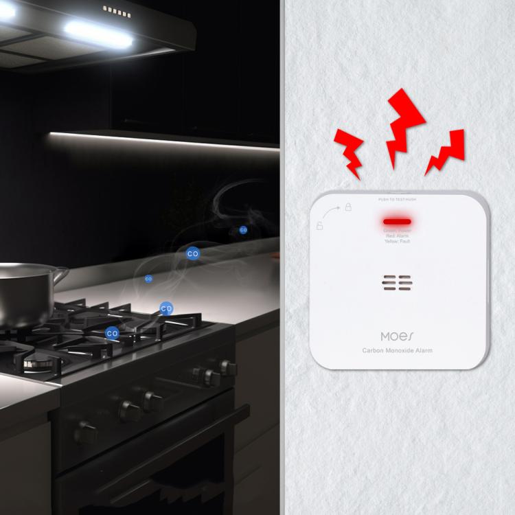ZSS-HM-CO-A Tuya Smart Carbon Monoxide Alarm Gas Detector Compatible with Zigbee(White)