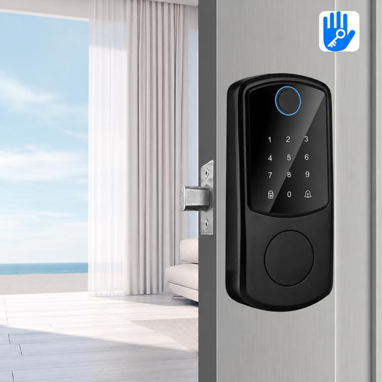 D10 Smart Lock Fingerprint Lock, Style:TTLOCK Model(Black)
