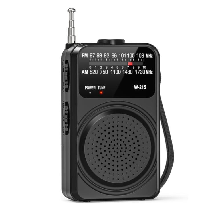 WDK FM/AM All-Band Portable Radio, Size: English(Black)
