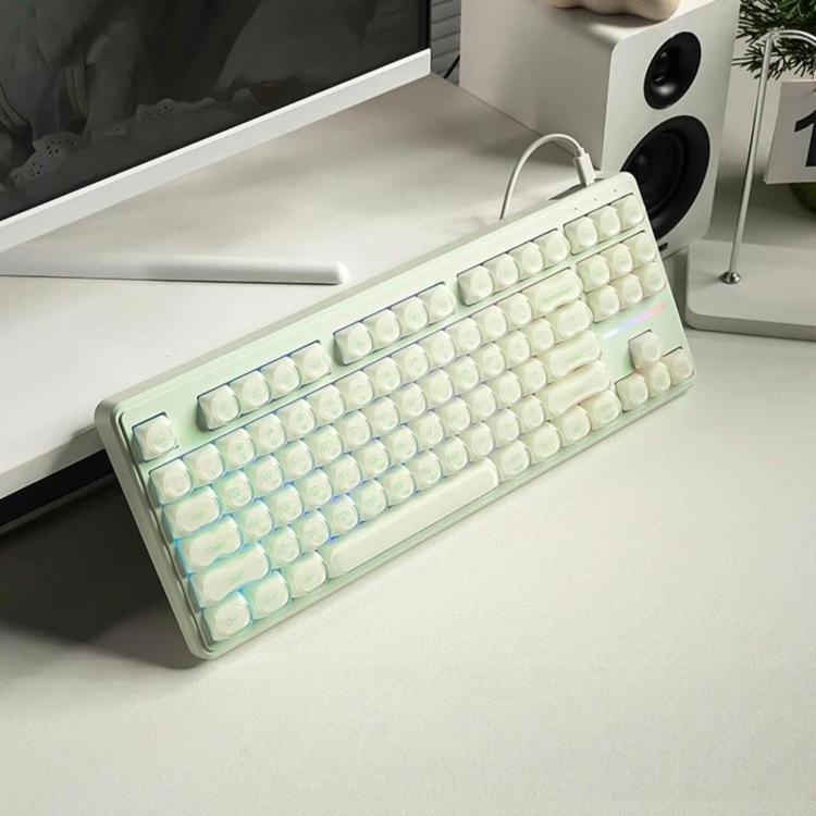 FURYCUBE 87-key Korean-language Wired RGB Mechanical Keyboard(Semi-transparent Light Green)